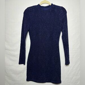 Windsor women’s long sleeve dress NWT